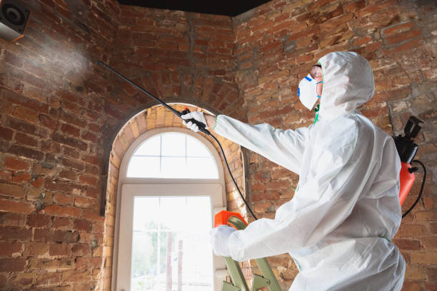 Best Asbestos and Lead Testing During Mold Inspection  in USA